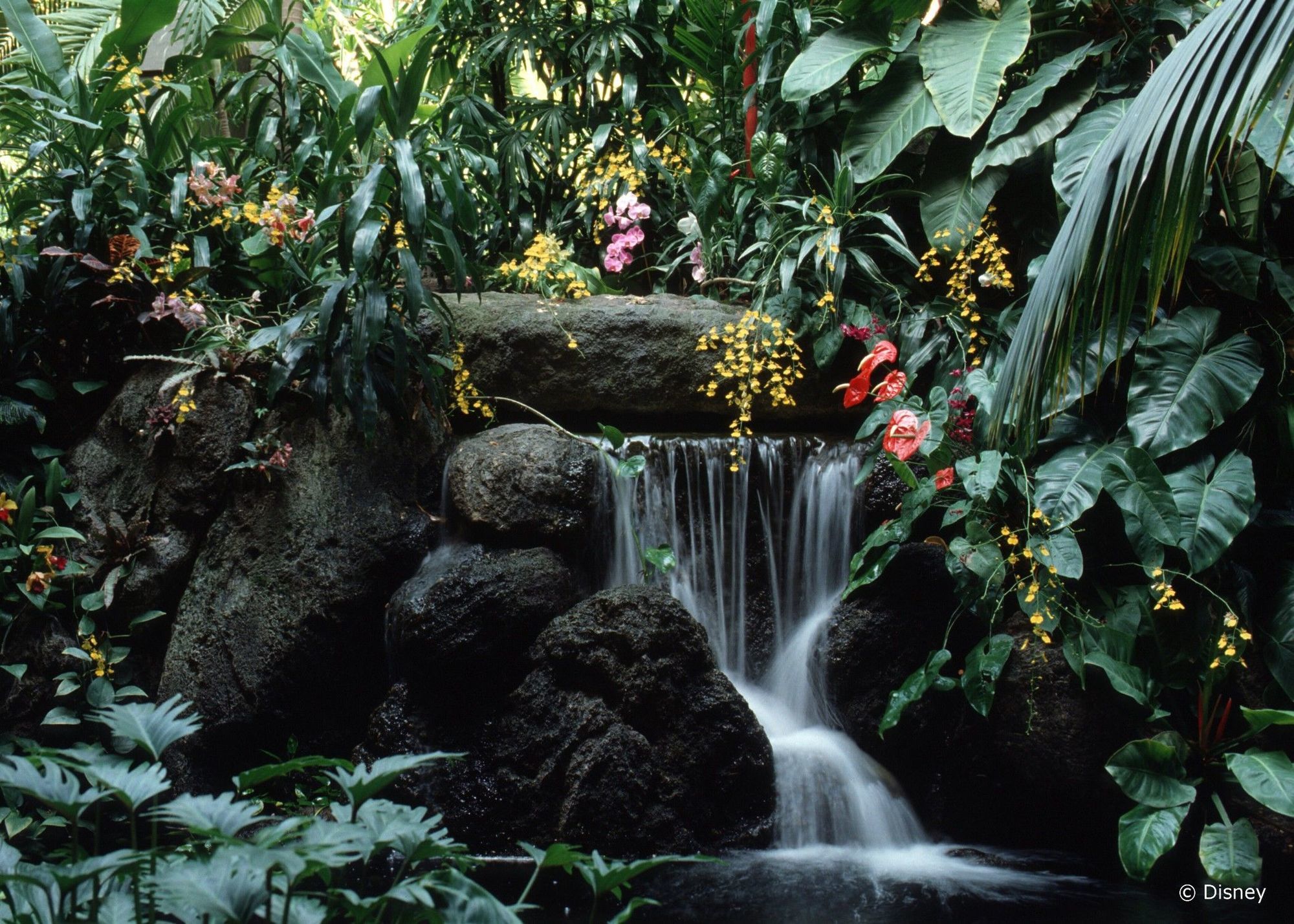 Disney'S Polynesian Village Resort Orlando Eksteriør bilde
